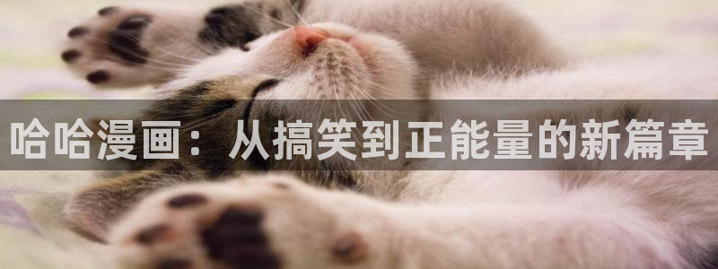 彻夜之歌漫画免费下拉式漫画之家：哈哈漫画：从搞笑到正能量的新篇章