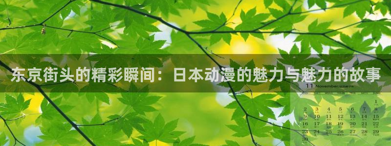 漫画之家漫画：东京街头的精彩瞬间：日本动漫的魅力与魅力的故事